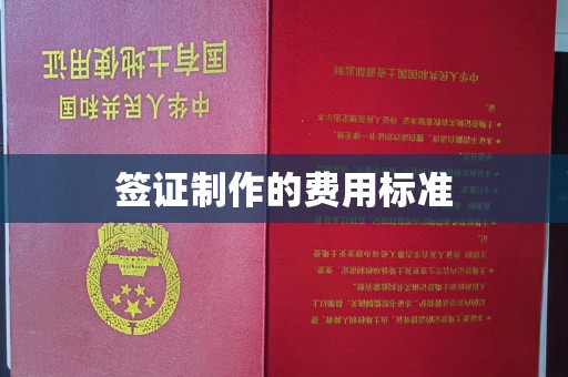 印江签证制作的费用标准