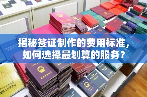 印江揭秘签证制作的费用标准，如何选择最划算的服务？