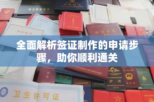 印江全面解析签证制作的申请步骤，助你顺利通关